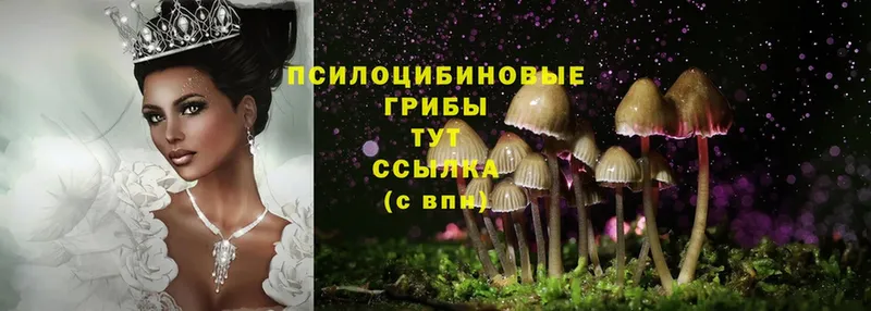 мориарти официальный сайт  Алупка  Псилоцибиновые грибы Psilocybe  купить закладку 